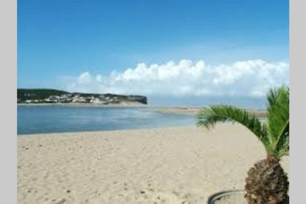 Blue Lagoon - Condominio Fechado Lagoa De Obidos Foz do Arelho Exteriör bild
